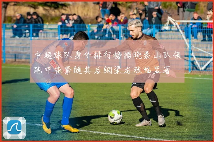 中超球队身价排行榜揭晓泰山队领跑申花紧随其后铜梁龙涨幅显著
