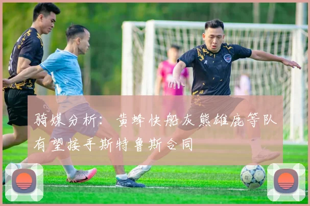 骑媒分析：黄蜂快船灰熊雄鹿等队有望接手斯特鲁斯合同